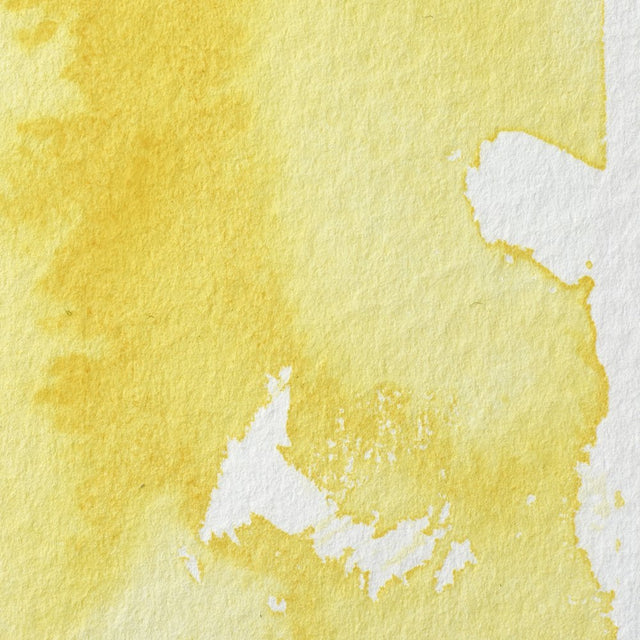 Transparent Yellow S1 Winsor &amp; Newton 1/2 Pan