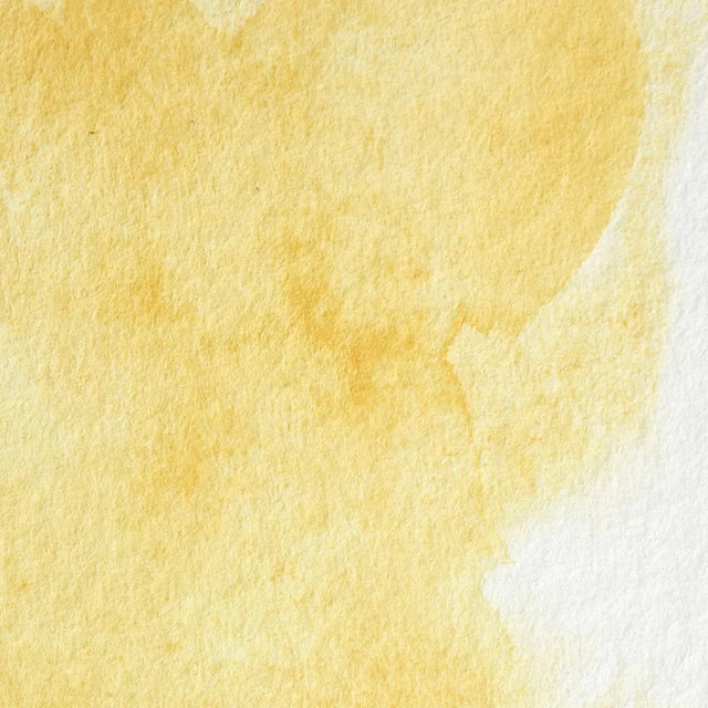 Turners Yellow S3 Winsor &amp; Newton 1/2 Pan