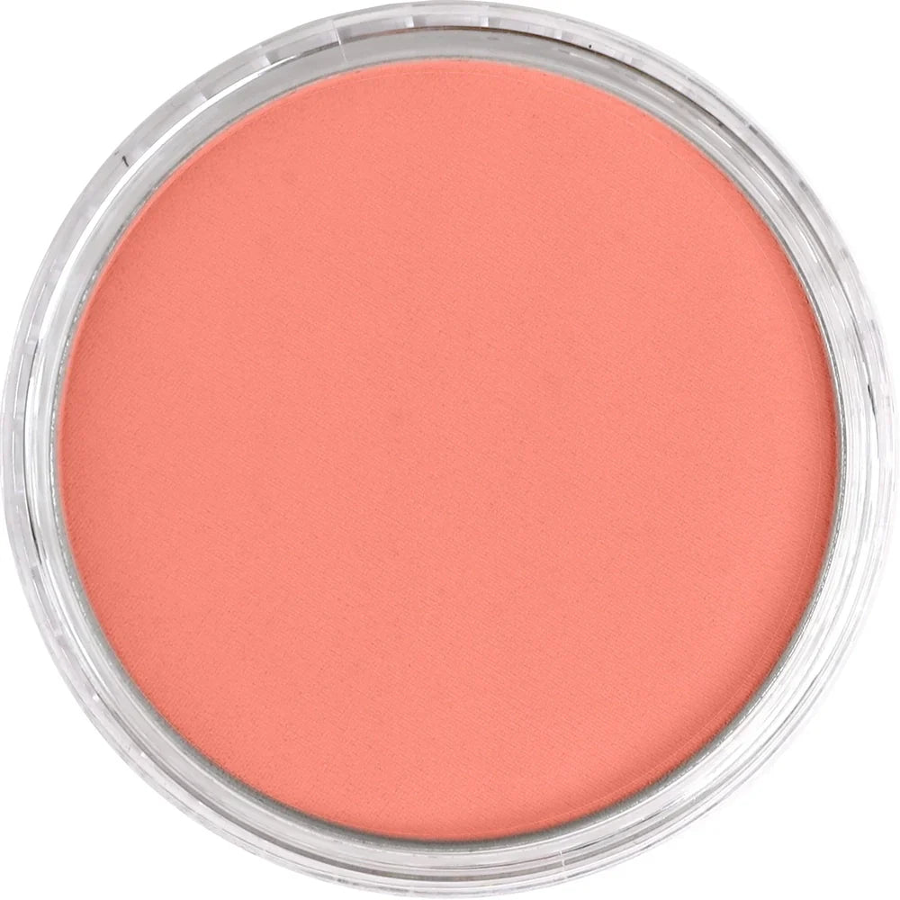 Vermilion Medium 310.6 PAN PASTEL