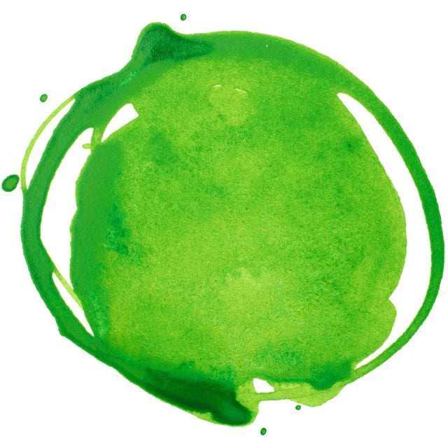 Vivid Lime Green Liquitex Acrylic Ink 30ml
