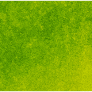 Bright Green Lake Michael Harding (116) Watercolour 15ml