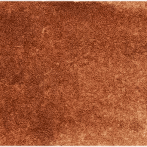 Burnt Sienna Michael Harding (125) Watercolour 15ml