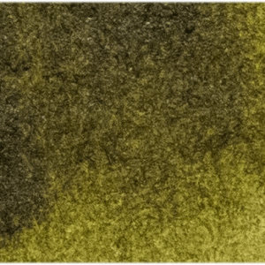 Moss Green Michael Harding (165) Watercolour 15ml