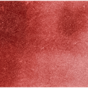 Rose Dore Michael Harding (305) Watercolour 15ml