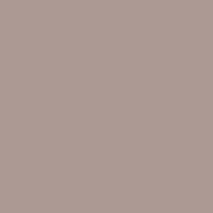 Warm Grey 3 (Wg3) Winsor Pro Marker