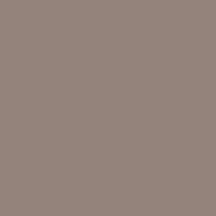 Warm Grey 4 (Wg4) Winsor Pro Marker