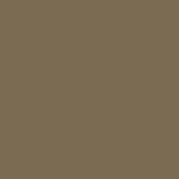 Warm Grey 5 (Wg5) Winsor Pro Marker