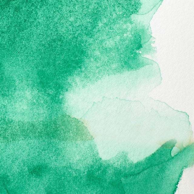 Winsor Green Y/s Awc Winsor &amp; Newton