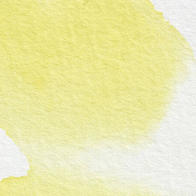 Winsor Lemon Awc S1 Winsor &amp; Newton 1/2 Pan