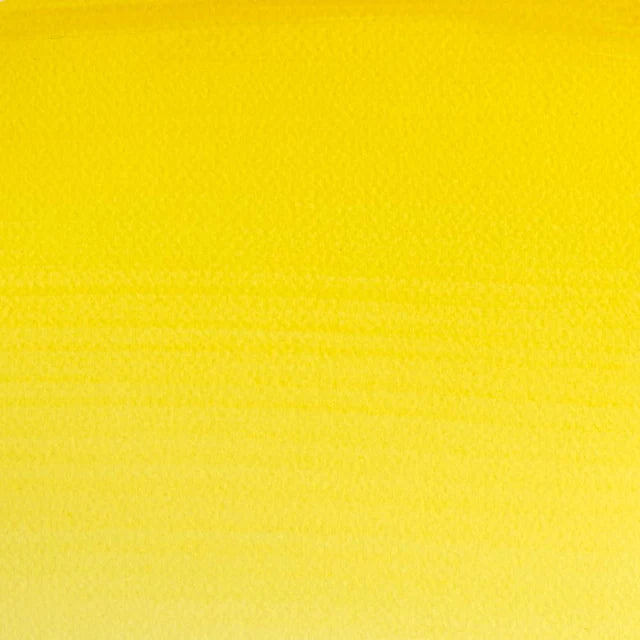 Winsor Lemon Awc S1 Winsor &amp; Newton 1/2 Pan
