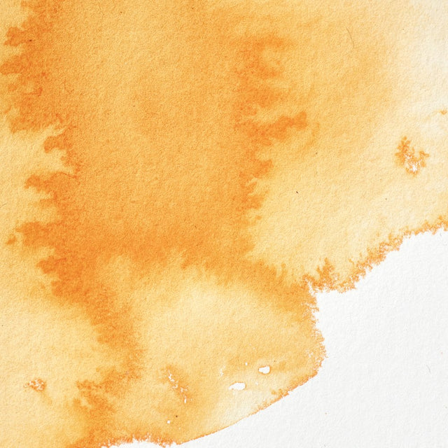 Winsor Orange Awc S1 Winsor &amp; Newton 1/2 Pan