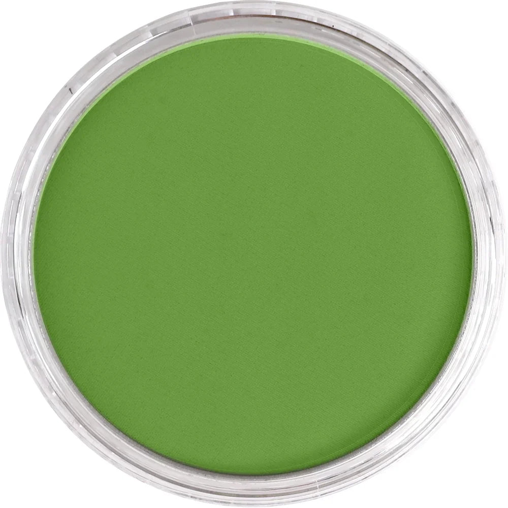 Yellow Green Shade 690.3 PAN PASTEL