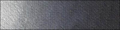 Vine Black Old Holland