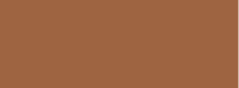 Raw Sienna Talens Ink 30ml