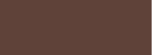Burnt Umber Talens Ink 30ml