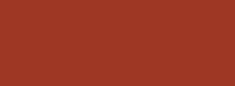 Burnt Sienna Talens Ink 30ml