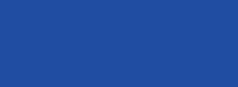 Ultramarine Talens Ink 30ml