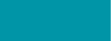 Turqouse Blue Talens Ink 30ml