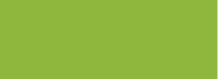Yellowish Green Talens Ink 30ml