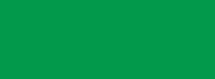 Perm Green Lt Talens Ink 30ml