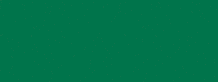 Perm Green Dp Talens Ink 30ml