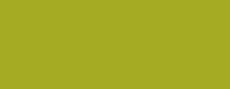 Olive Green Lt Talens Ink 30ml