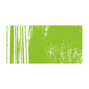Apple Green 205 Sennelier Pastel Pencil