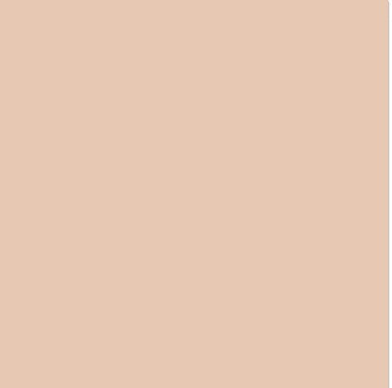 Pitt Artist Pen Faber Castell 132 Beige Red / Light Flesh