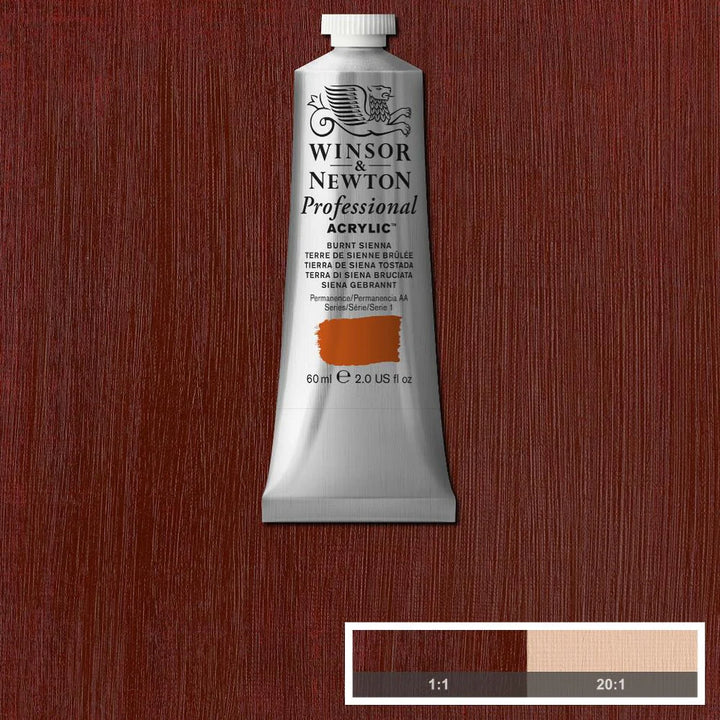 Burnt Sienna Winsor &amp; Newton Artist Acrylic