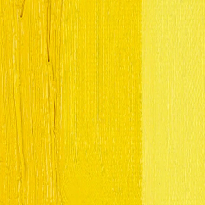 Cadmium Yellow Med Gamblin 1980