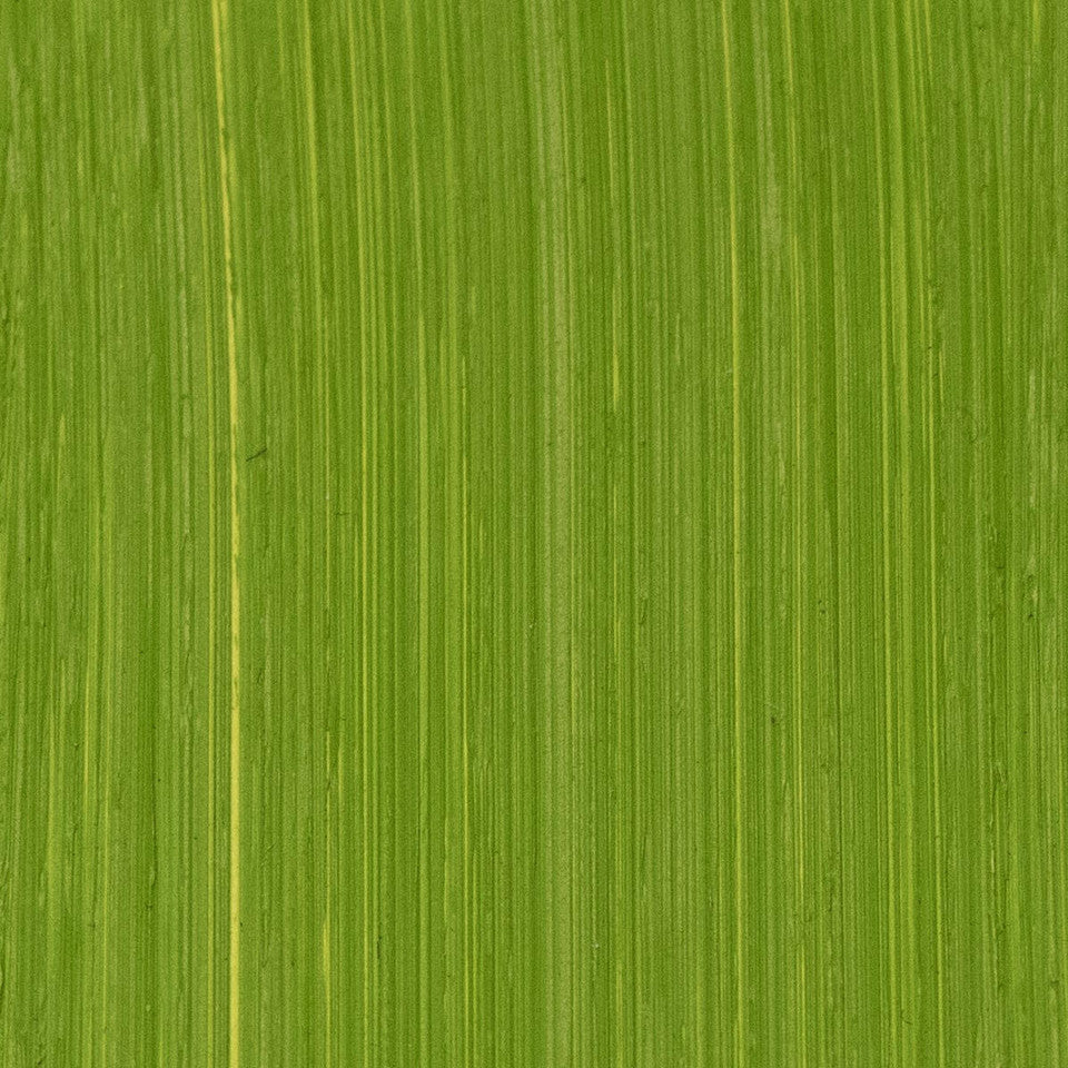 Cadmium Michael Harding (412) Green
