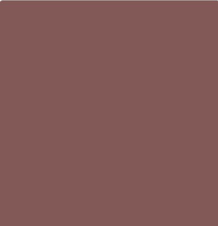 Pitt Artist Pen Faber Castell 169 Caput Mortuum