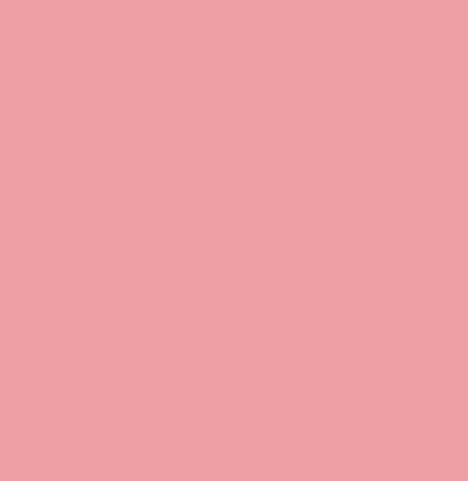 Pitt Artist Pen Faber Castell 131 Coral / Medium Flesh