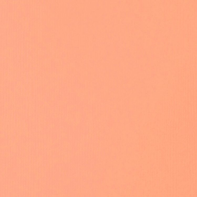 Light Portrait Pink 59ml Liquitex