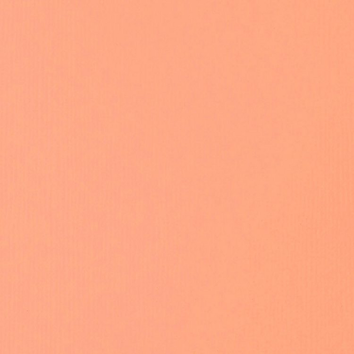 Light Portrait Pink 59ml Liquitex