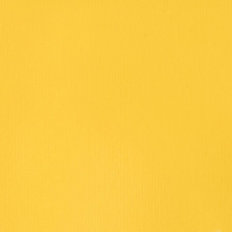 Cadmium Yellow Lt Liquitex 59ml