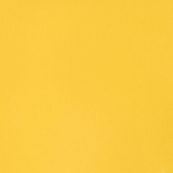 Cadmium Yellow Lt Liquitex 59ml