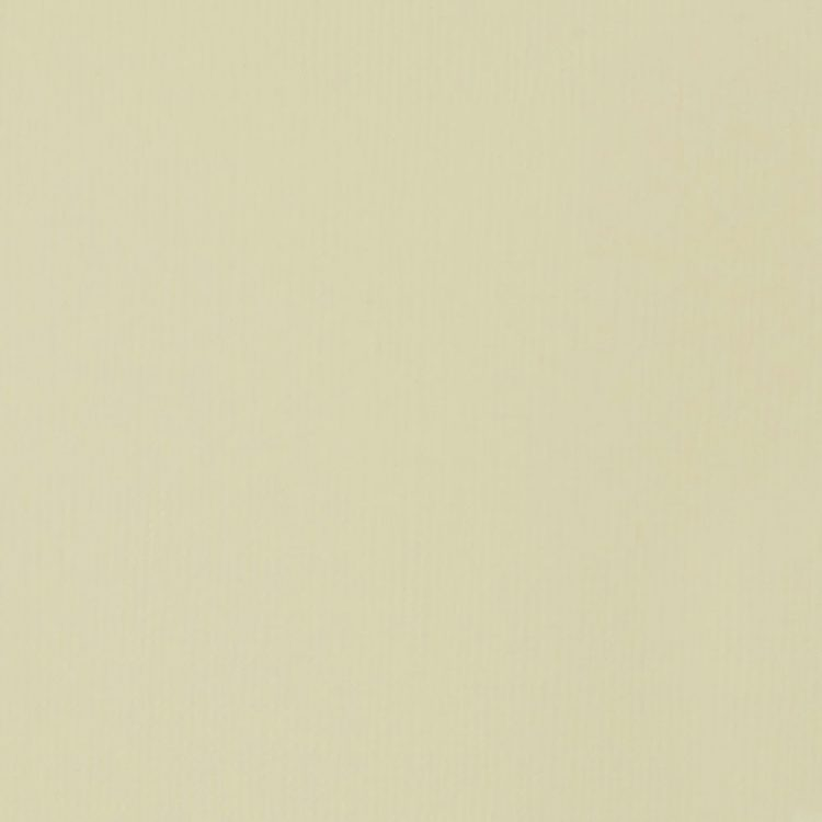 Parchment Liquitex 59ml