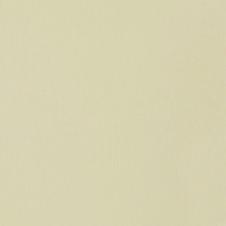 Parchment Liquitex 59ml