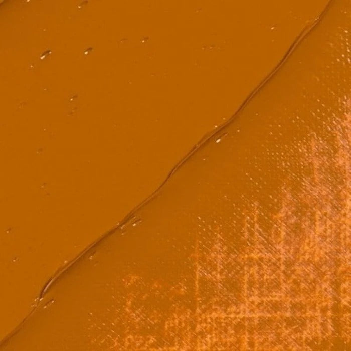 231 Gold Ochre Rembrandt Artist Oil 40ml