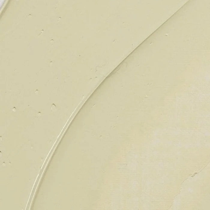 282 Naples Yellow Green Rembrandt Artist Oil 40ml
