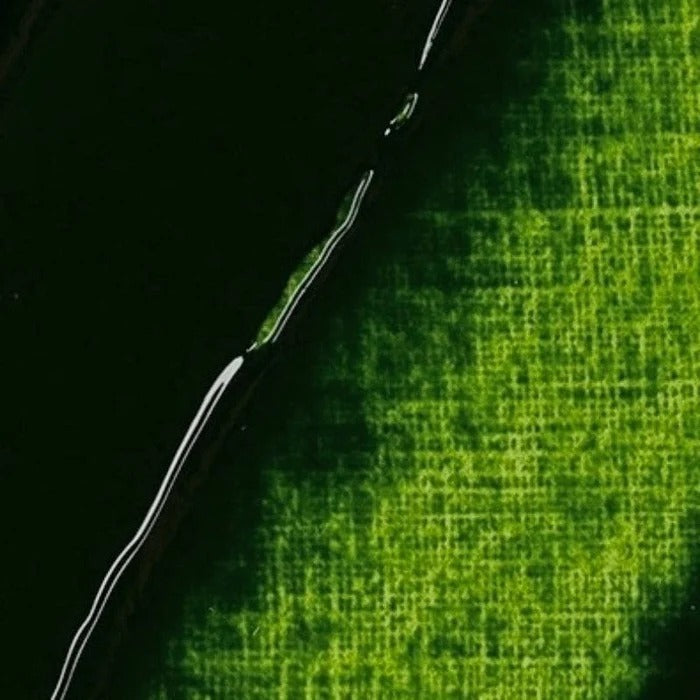 623 Sap Green Rembrandt Artist Oil 40ml