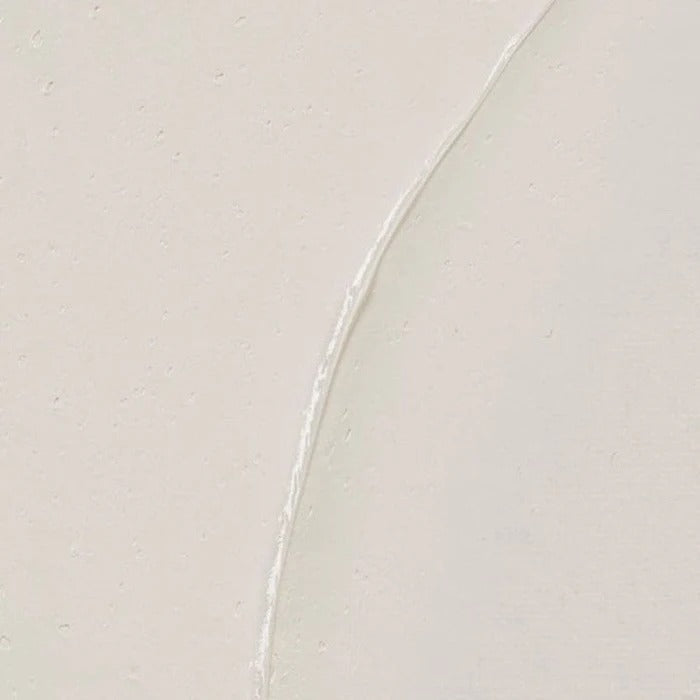117 Zinc White (Linseed) Rembrandt Artist Oil 40ml