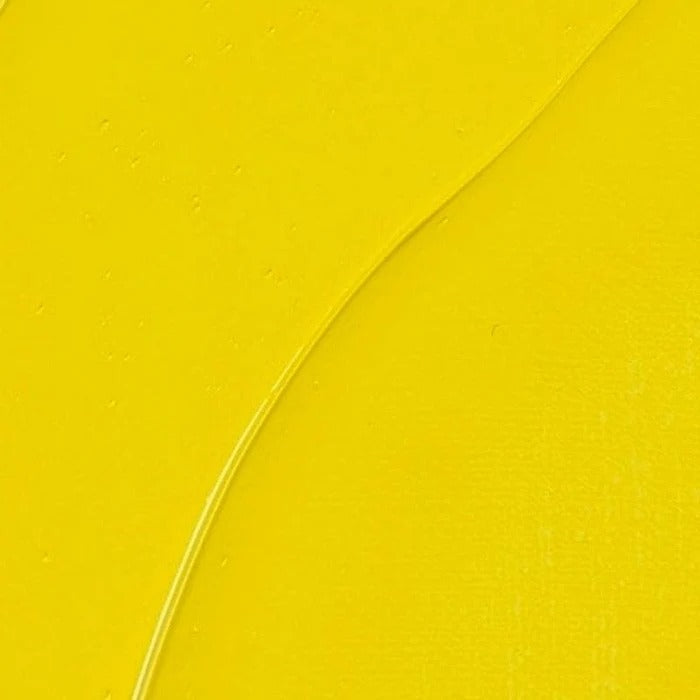 207 Cadmium Yellow Lemon Rembrandt Artist Oil 40ml