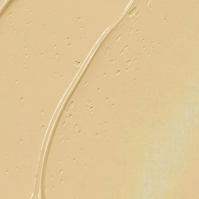 222 Naples Yellow Light Rembrandt Artist Oil 40ml