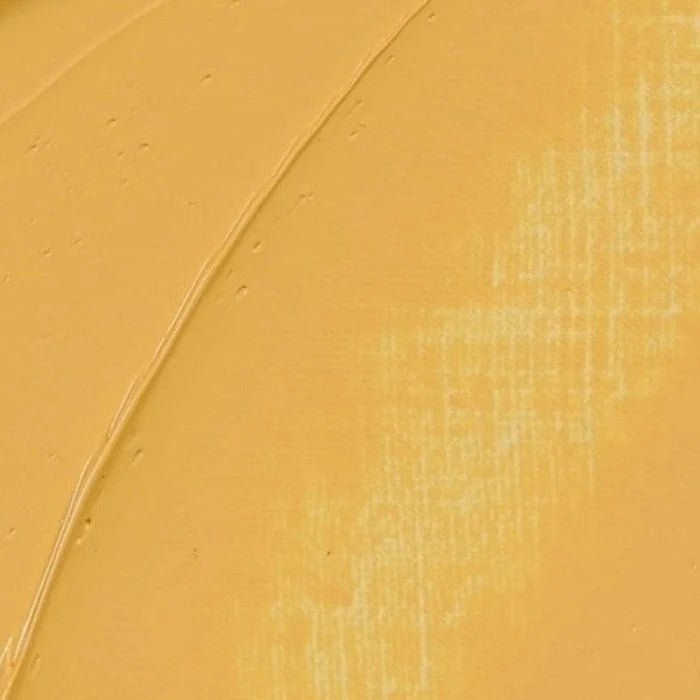 223 Naples Yellow Deep Rembrandt Artist Oil 40ml
