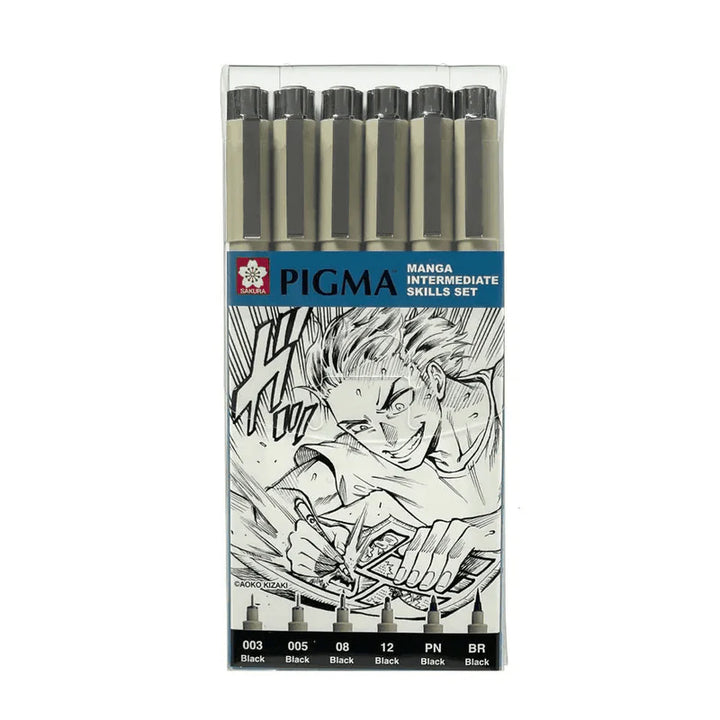 Pigma Micron Manga Intermediate Skill Set 6