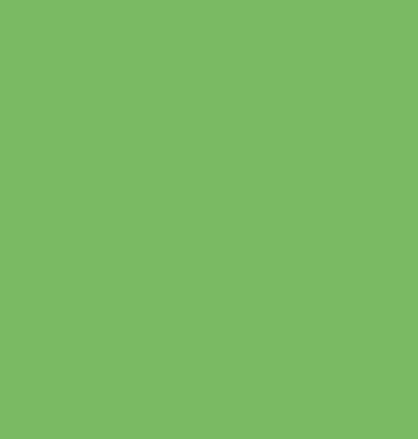 Pitt Artist Pen Faber Castell 112 Leaf Green