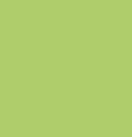 Pitt Artist Pen Faber Castell 171 Light Green