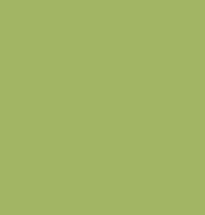 Pitt Artist Pen Faber Castell 170 May Green